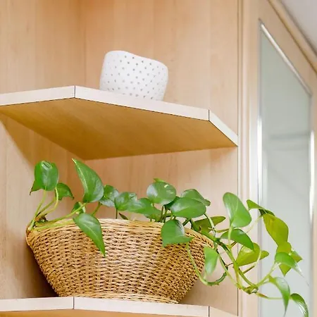 Apartament Picasso Terrace By Cocoon Barcelona *